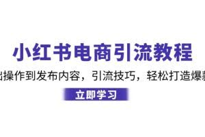 （12913期）小红书电商引流教程：从基础操作到发布内容，引流技巧，轻松打造爆款产品