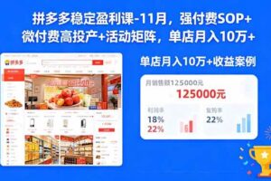 （16473期）拼多多稳定盈利课-11月，强付费SOP+微付费高投产+活动矩阵，单店月入10万+