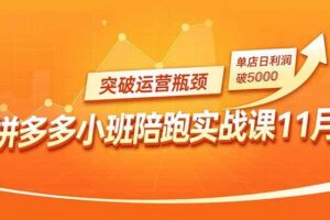 （16654期）拼多多小班陪跑实战课11月，强付费矩阵、原价活动、暗券引流，突破运营瓶颈，单店日利润破5000