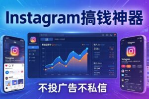 (17731期)Instagram搞钱神器:月涨6万粉+月入5万刀,不投广告不私信,靠算法+低价产品